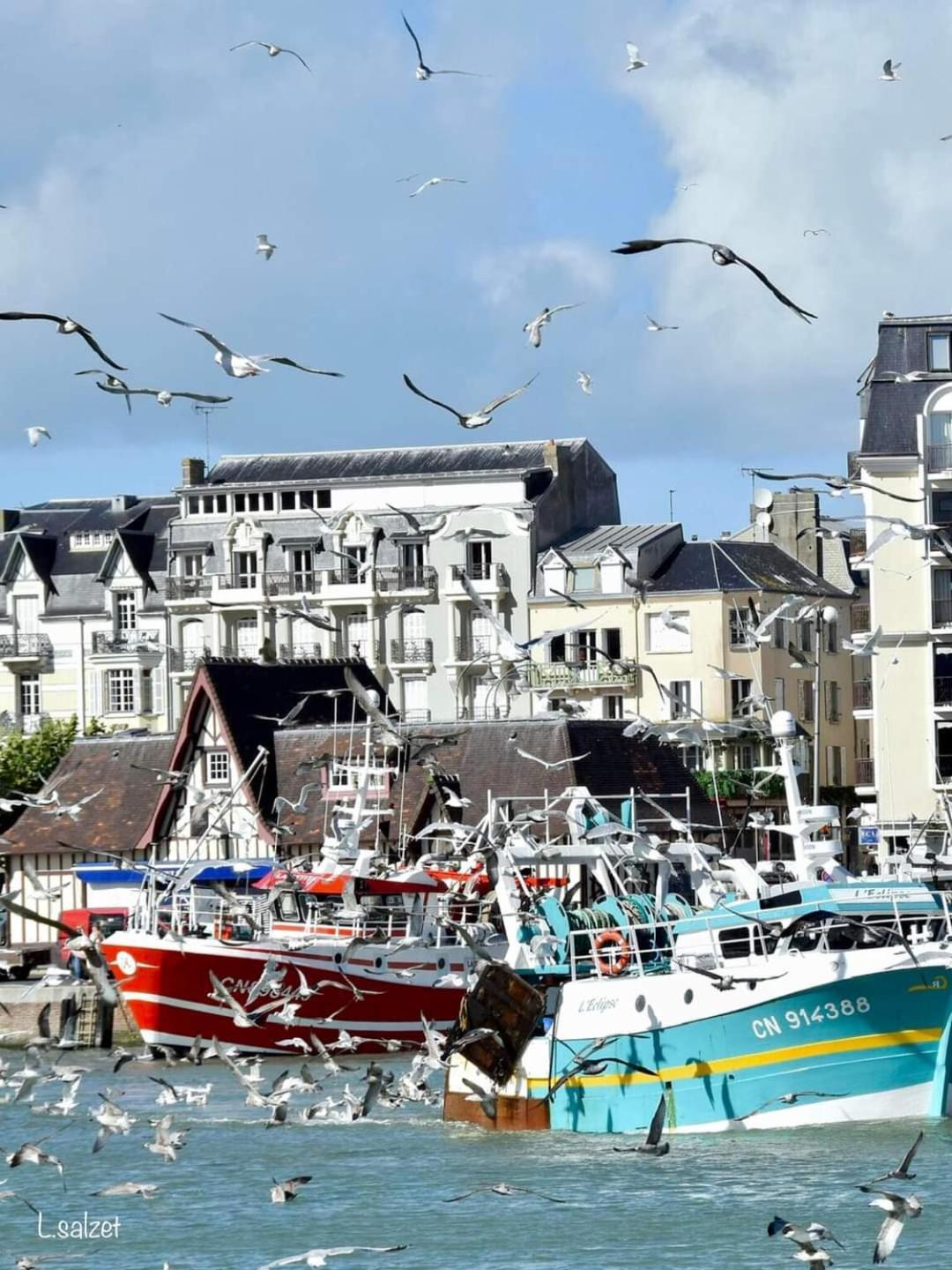 Studio De Charme A Trouville Sur Mer. Exterior foto